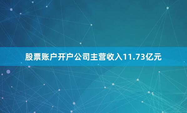 股票账户开户公司主营收入11.73亿元