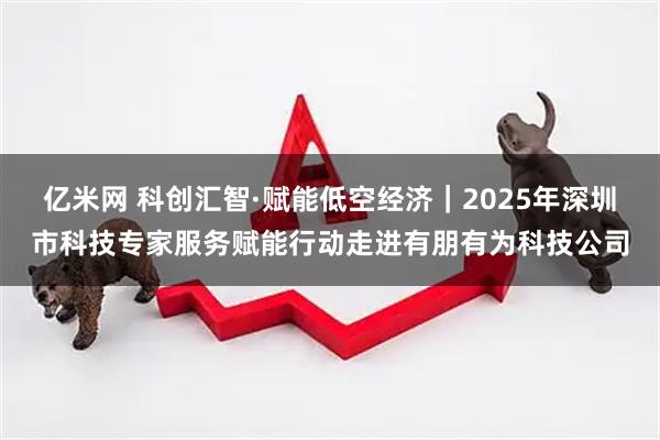 亿米网 科创汇智·赋能低空经济｜2025年深圳市科技专家服务赋能行动走进有朋有为科技公司