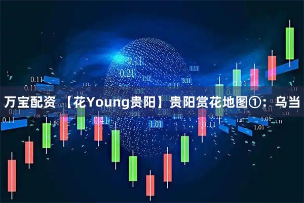 万宝配资 【花Young贵阳】贵阳赏花地图①：乌当