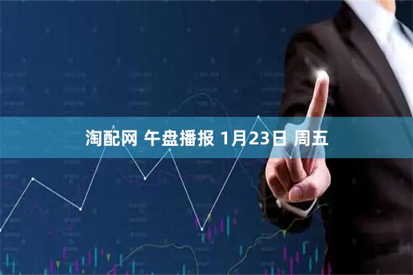 淘配网 午盘播报 1月23日 周五